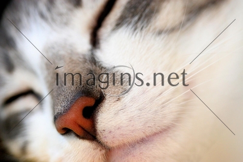 Imagins0566