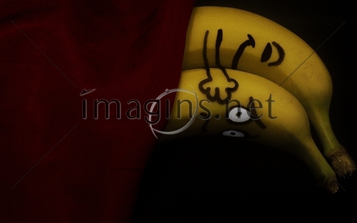 Imagins0575
