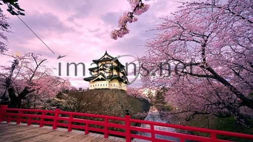Imagins0578