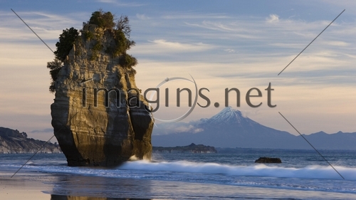 Imagins0584