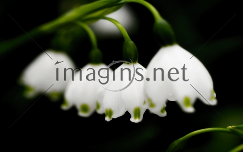 Imagins0615