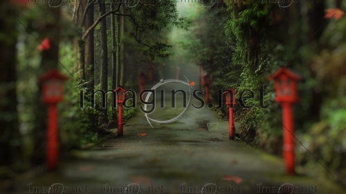 Imagins0652