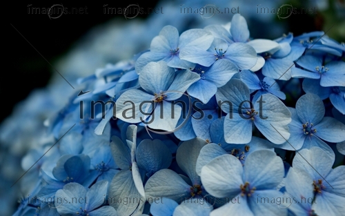 Imagins0659