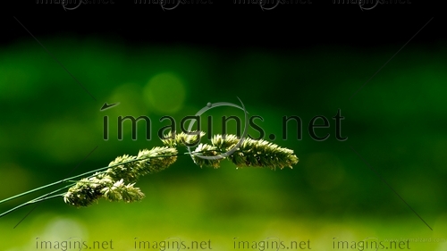 Imagins0716