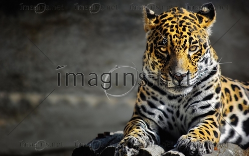 Imagins0720