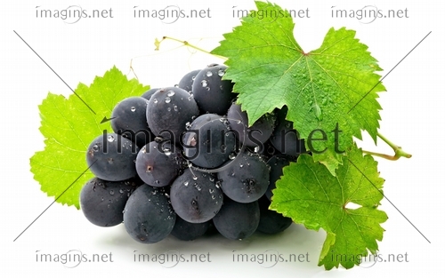 Imagins0747