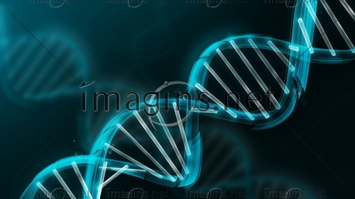 Imagins0765