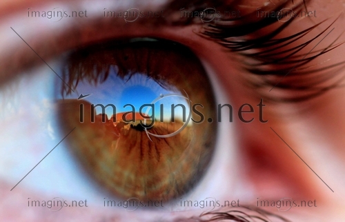 Imagins0791