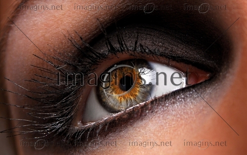 Imagins0799