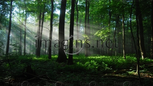 Imagins0807