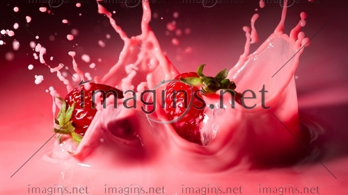 Imagins0816
