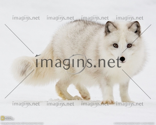 Imagins0829