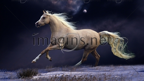Imagins0836