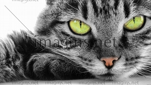 Imagins0837