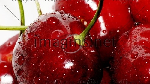 Imagins0845