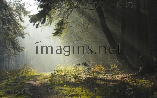 Imagins0871
