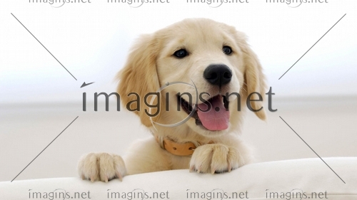 Imagins0873