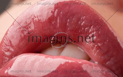 Imagins0880
