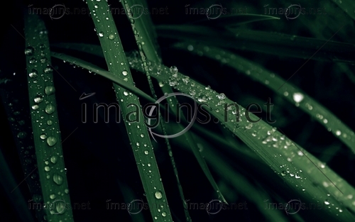 Imagins0897