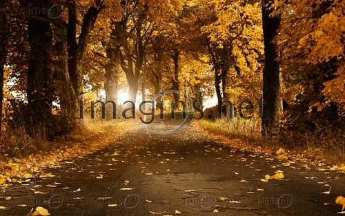 Imagins0912