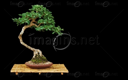 Imagins0919