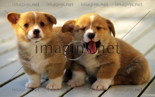 Imagins0925