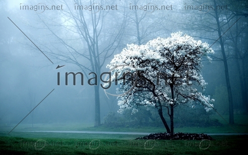 Imagins0938