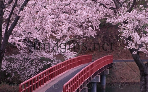 Imagins0944