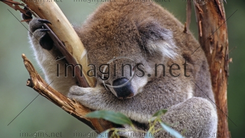 Imagins0963