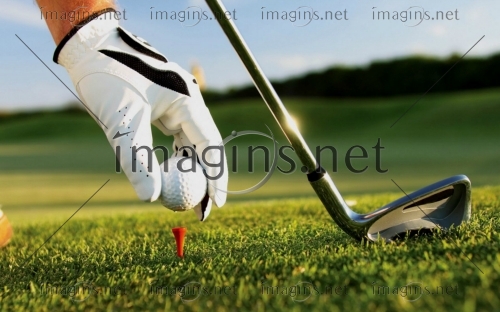 Imagins0979