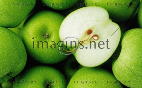 Imagins0992