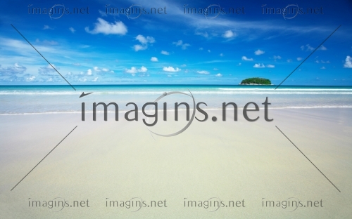Imagins1031