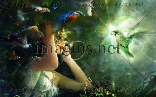 Imagins1035