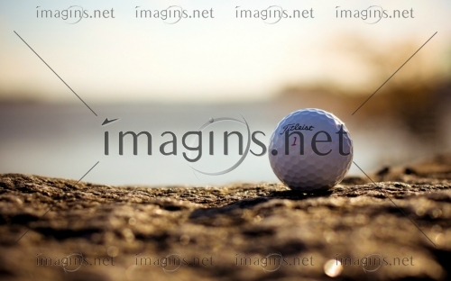 Imagins1037