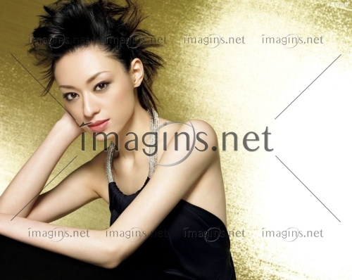 Imagins1042
