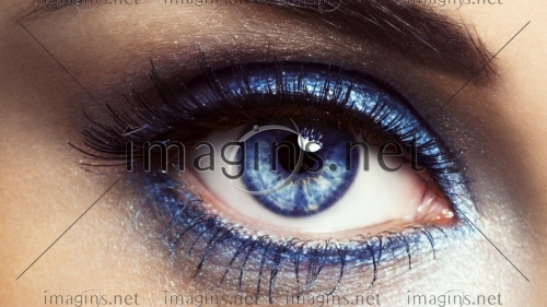 Imagins1045