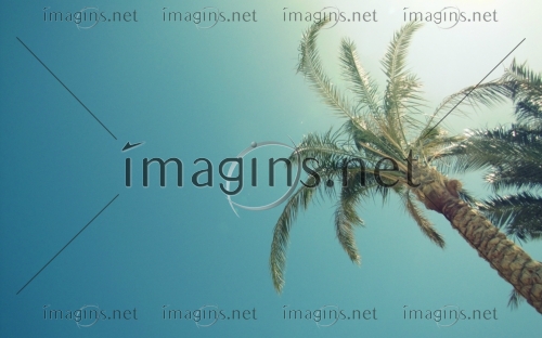 Imagins1070