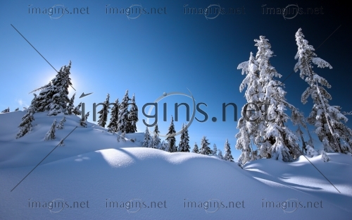 Imagins1071