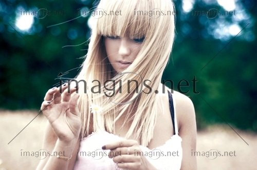 Imagins1138