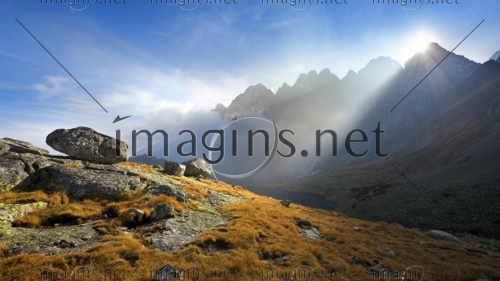 Imagins1178
