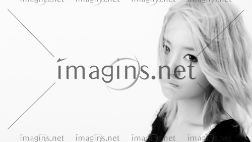 Imagins1182