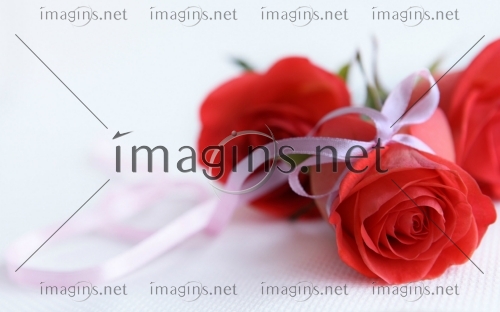 Imagins1191