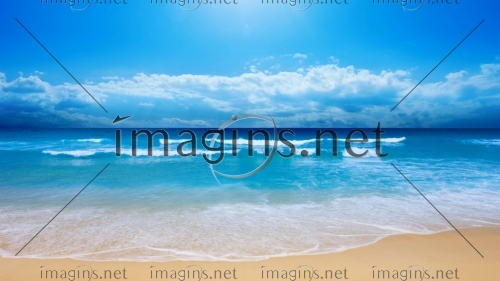 Imagins1196