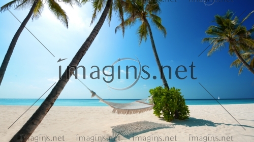 Imagins1199
