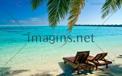 Imagins1207