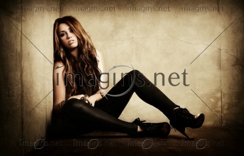 Imagins1209