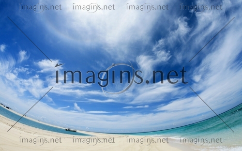 Imagins1217