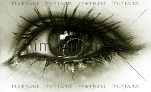 Imagins1224