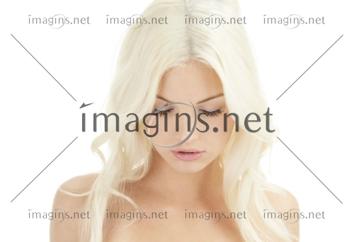 Imagins1226