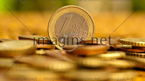 Imagins1229